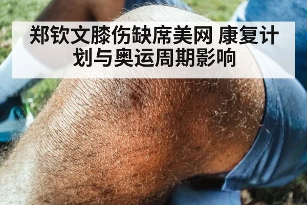 郑钦文膝伤缺席美网 康复计划与奥运周期影响 - ayx